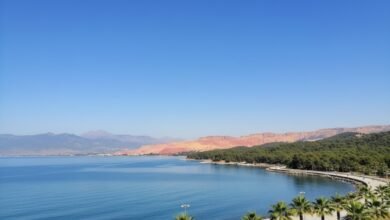 قائمة منتزهات الجزائر الوطنية