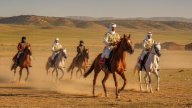 أفضل الأماكن لممارسة رياضة الفروسية في الجزائر